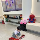 네이처비뇨의학과의원 | 활주고환 37개월 고환고정술 후기. (백민기 아이사랑소아비뇨의학과의원)