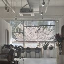 한솥(풍동점) 이미지