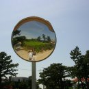 인세목장 | [제주 여행] 뚜벅이들의 제주여행 1탄 (동문시장 무료 짐 보관함, 협재해수욕장, 금오름, 너도나도 ATV...