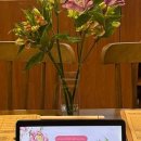 DIY 컬러테라피 천연화장품 이미지