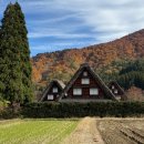 해로당 | 해로미:) 시라카와고 : 버스 자유석 후기, 전망대, 세쌍둥이집 _ 4시간 웨이팅