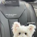 태영생막창운서점
