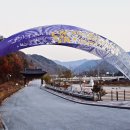 구절초가는길 이미지