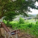 삼탄잔디구장 이미지