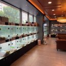 도그마루 강아지 고양이 분양 여주·원주점 | 반려동물분양) 도그마루 강아지 고양이 분양 여주원주점🐾