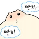 올포유인천