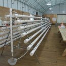 봉화랜드 이미지