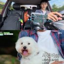 총각