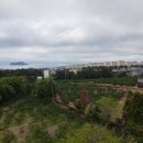 서호초교 이미지