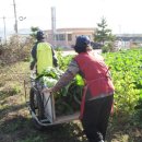 윤희농장 이미지