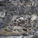 거창사건추모공원-역사교육관 이미지