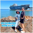 GS25 영덕 장사점 | 대구 근교 아이와 갈만한 곳 추천｜영덕 장사해수욕장 보리멸 낚시 후기