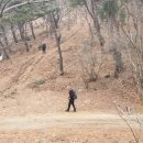 소호농장 이미지