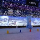 잭슨나인스 세종 이미지