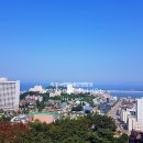 스위첸정부동산공인중개사사무소 이미지