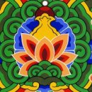 고대1103 이미지