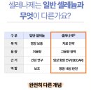 셀레나제는 일반 셀레늄과 무엇이 다른가요 ? 이미지