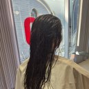 [명동역 미용실] 준오헤어 명동예술극장점 - 손 빠르고 유쾌하신 유연 디자이너님 컷트 시술 후기