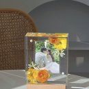 로지상점