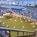 더퍼피즈블루오션 이미지
