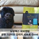 퍼피앤맘 이미지