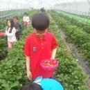 다윈태권도 이미지