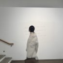 비올렛트