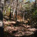 부엉이 농장 이미지