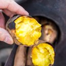 샘양지마을 이미지