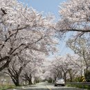 진해기술지원과(진해농업기술센터) 이미지