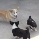 월리농장 이미지