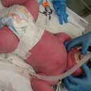 슈퍼베이비 이미지