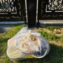 세븐일레븐 오산궐동본점 | 오산 중국집 난향 궐동 고추짬뽕 쟁반 짜장 내돈내산