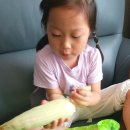 초롱꽃반 이나은. 옥수수 맛있게 먹었어요! 이미지