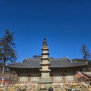 마곡사성보박물관 | 유네스코 세계유산 "마곡사" :: 마곡사의 모든것! (주차부터 마곡사의 의미까지/ 반려동물 출입)