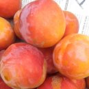 지리산맑은물팬션 이미지