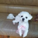 올리스 일산백석점 이미지