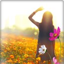 (주)서정 이미지