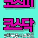이브이인터네셔날