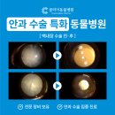 대한동물병원 이미지