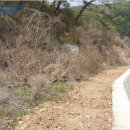 단양군가곡면여천보건진료소 이미지