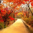 디앤에프 이미지