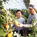 김용 농장 이미지