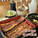 우나미 | 마곡 장어덮밥 발산역 점심맛집 우나기모토 도쿄 우나쥬 혼술