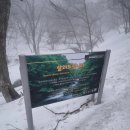 서호동-13 | [제주] 3월 윗세오름의 가시거리는 1m.