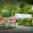 유곡면 운동장 이미지