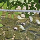 세븐일레븐인천마전점 이미지