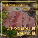 서초대로54길 29-5 | 서초동 횟집에서 방어 먹고 반한 곳, 속초오징어어시장 강남 서초점 솔직 후기