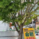 승원식당