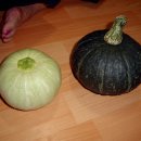 은선농장 이미지